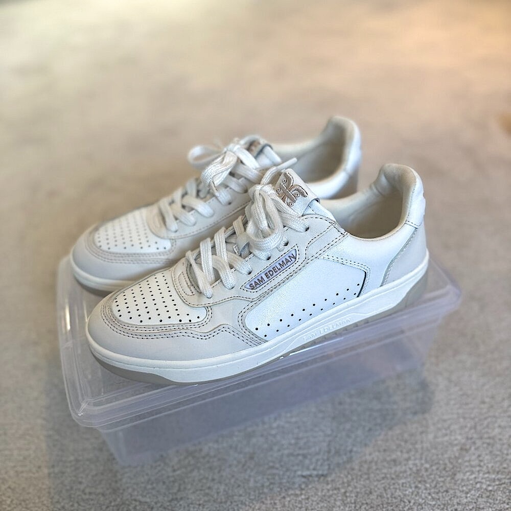 Sam Edelman Harper Sneaker in White/Sugar 8.5